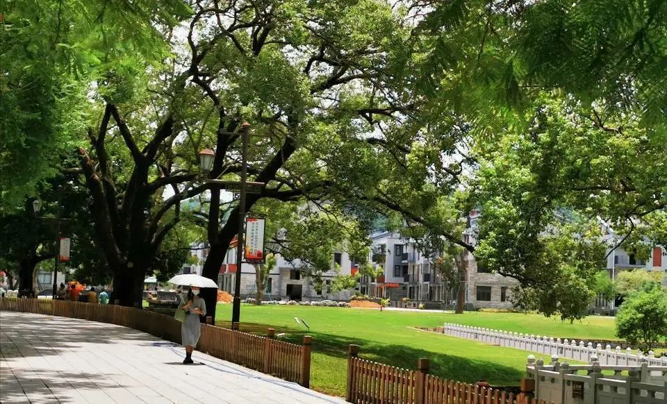 【特区40年•珠海篇】40年，珠海“变奏曲”