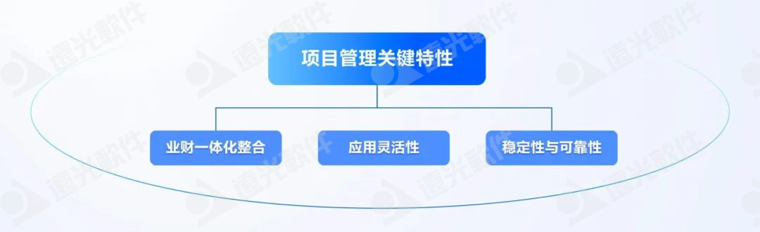 DAP专题 | 项目管理:集团企业的高效运营引擎