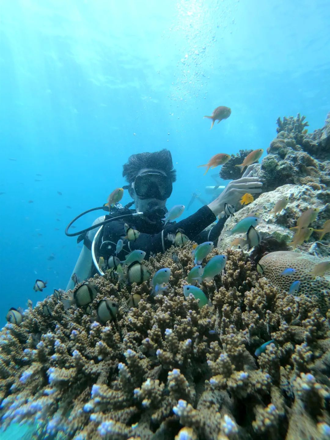 “码”力全开,“程”就辉煌:你身边的不一样的程序员