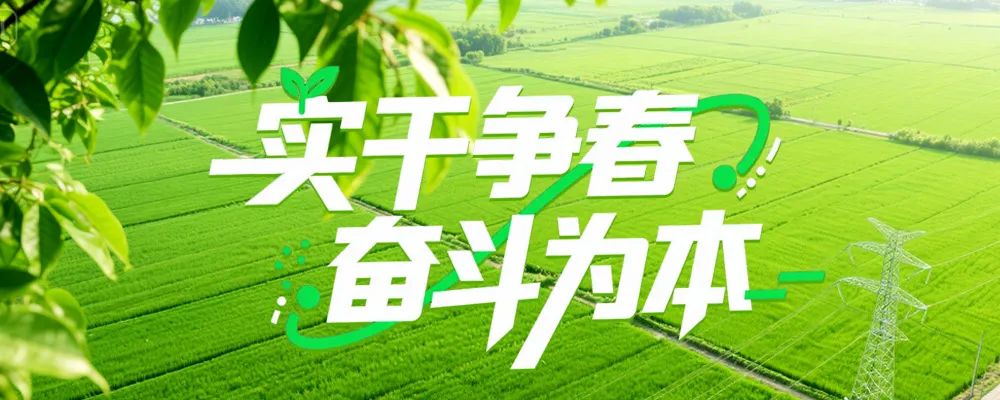 实干争春 奋斗为本 看远光软件项目建设“春耕忙”